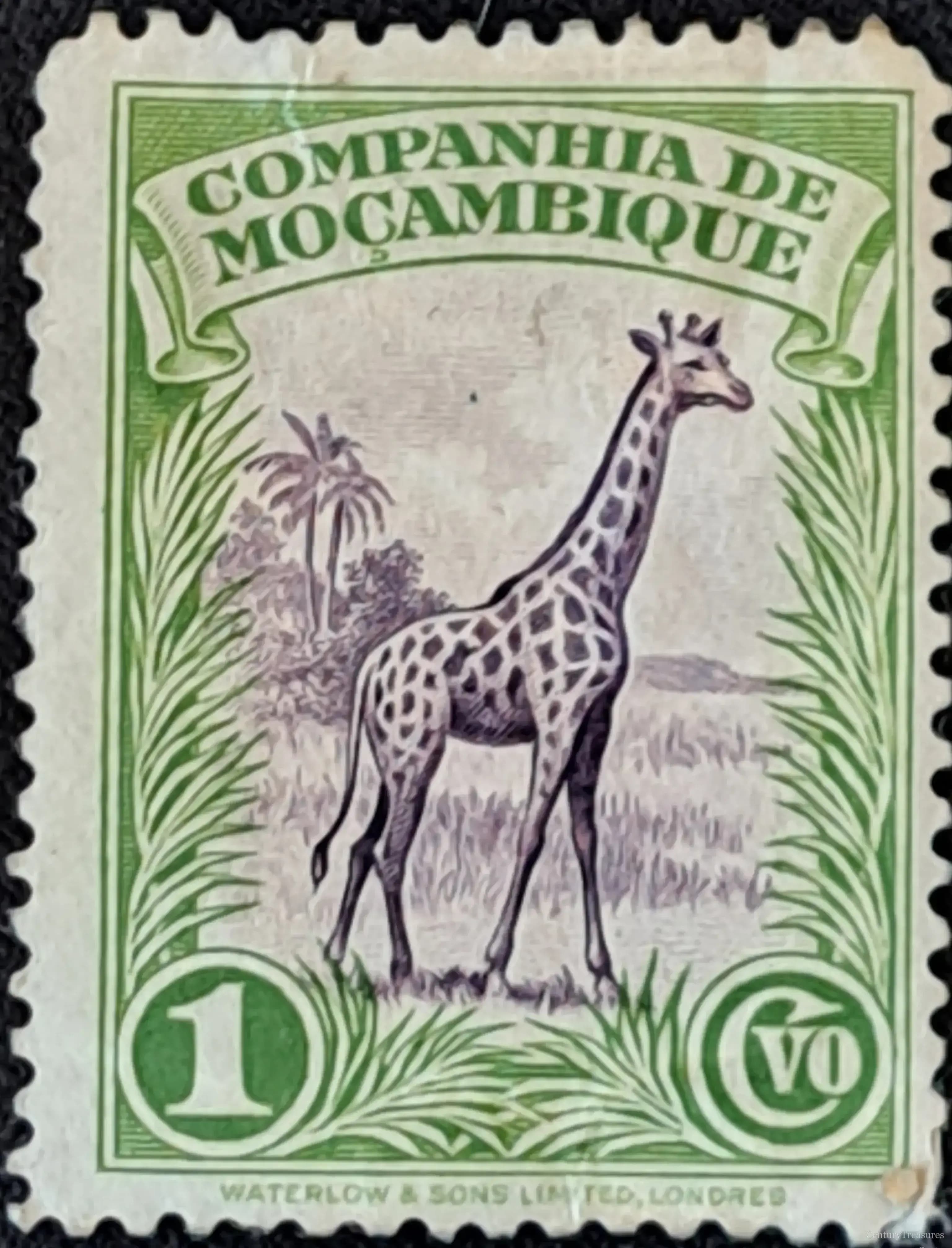 Companhia de Moçambique Giraffe